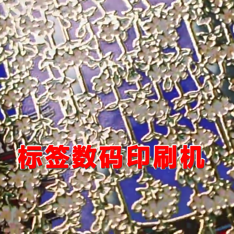 卷到卷數(shù)碼增效印刷機(jī)